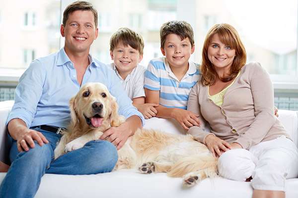 Why Choose One Family Dentist for Everyone in Your Family from Lobaina Dental in Miami, FL